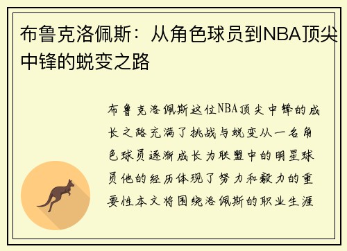 布鲁克洛佩斯：从角色球员到NBA顶尖中锋的蜕变之路