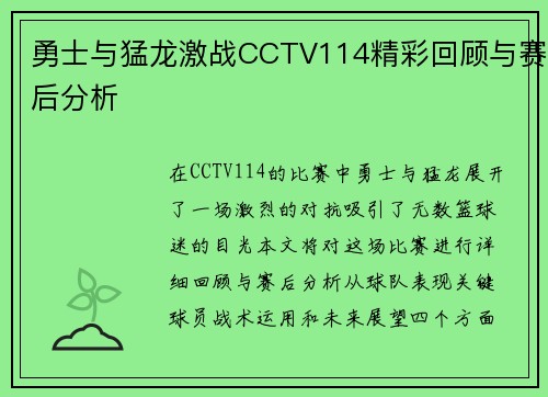 勇士与猛龙激战CCTV114精彩回顾与赛后分析