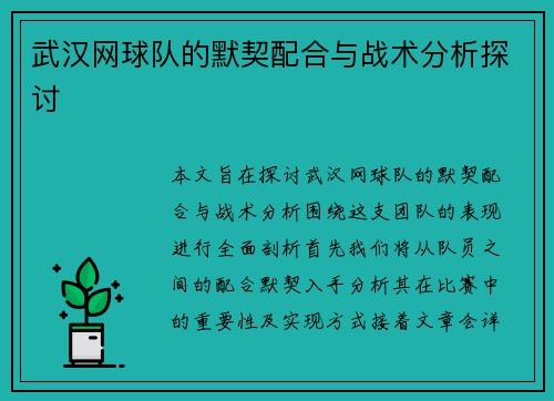 武汉网球队的默契配合与战术分析探讨