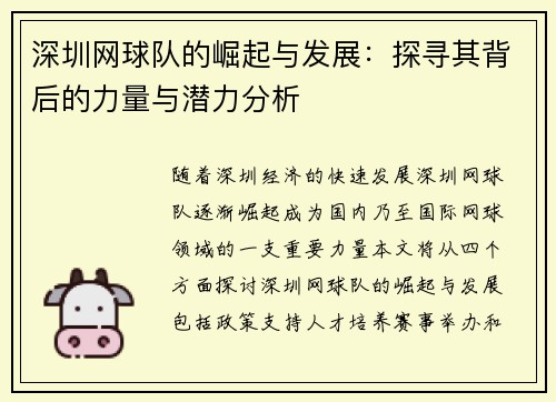 深圳网球队的崛起与发展：探寻其背后的力量与潜力分析
