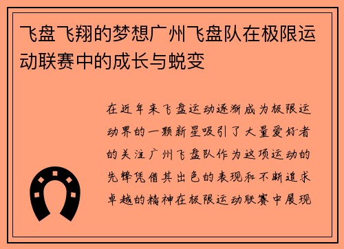 飞盘飞翔的梦想广州飞盘队在极限运动联赛中的成长与蜕变